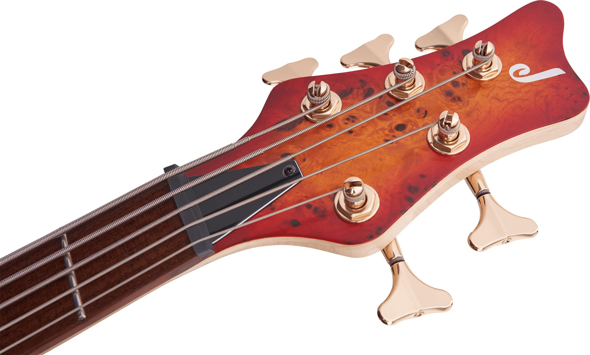 Amazon.com: Jackson Pro Series 5-String Spectra Bass SBP V, Cherry